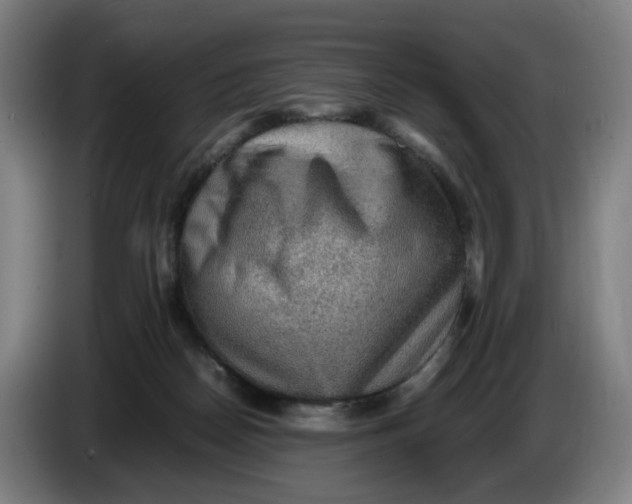 X0000086230170200704191807