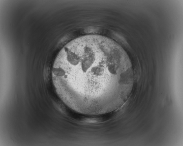 X0000086230171200704191807