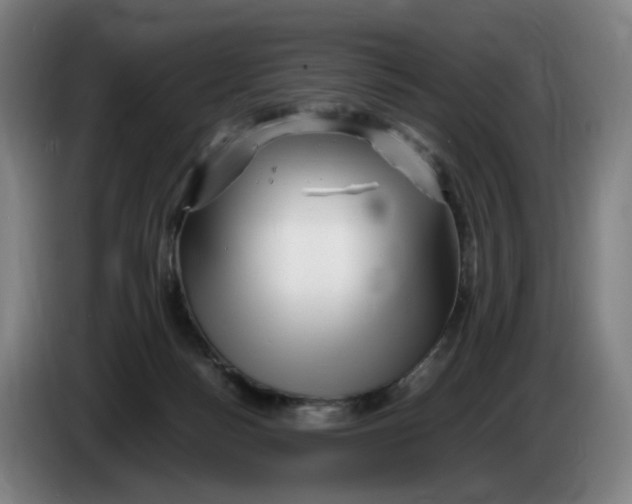 X0000086230172200704191807