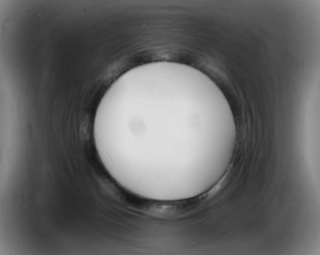 X0000086230174200704191807