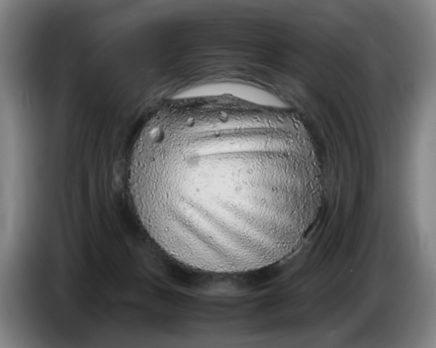 X0000086230175200704191807