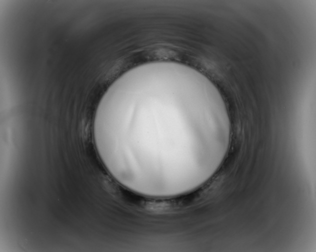 X0000086230177200704191807