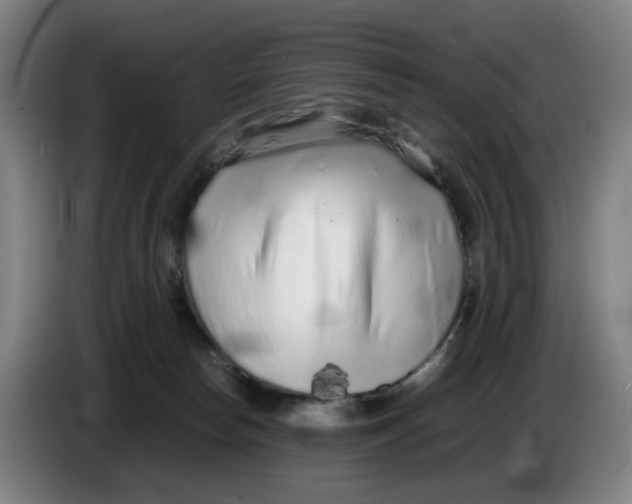 X0000086230178200704191807