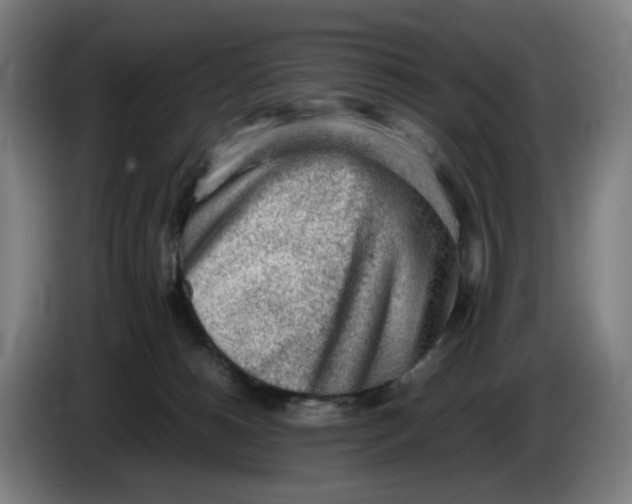 X0000086230180200704191807