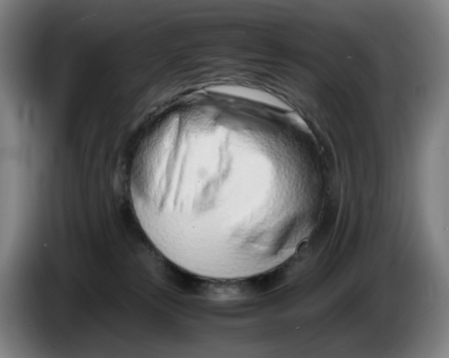 X0000086230181200704191807