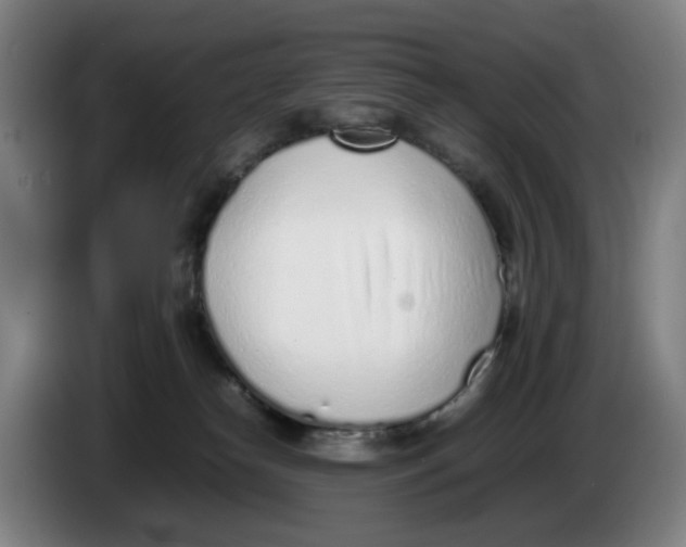 X0000086230182200704191807