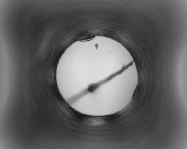 X0000086230183200704191807