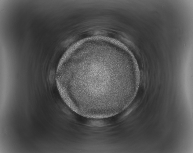 X0000086230189200704191807