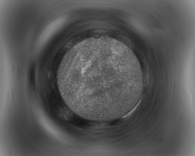 X0000086230191200704191808