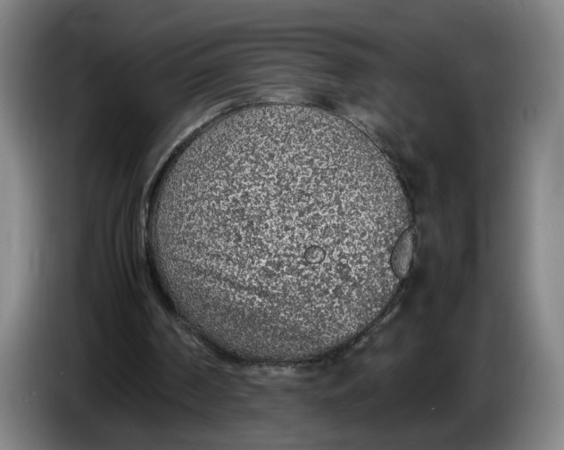 X0000086230194200704191807