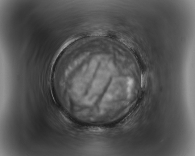 X0000086230195200704191807