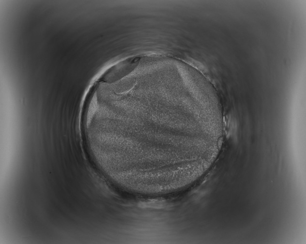 X0000086230196200704191807