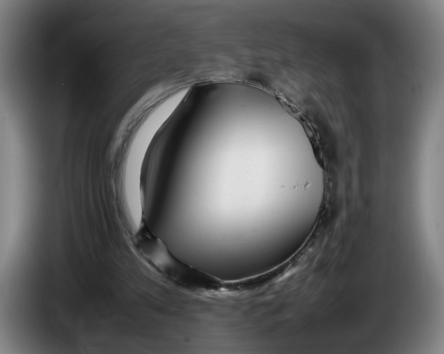 X0000086230197200704191807