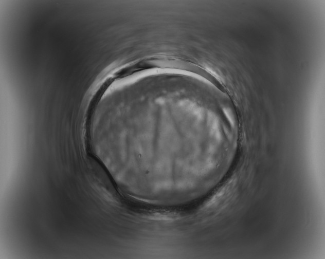 X0000086230199200704191807