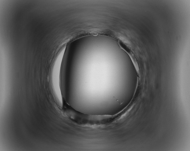 X0000086230201200704191807