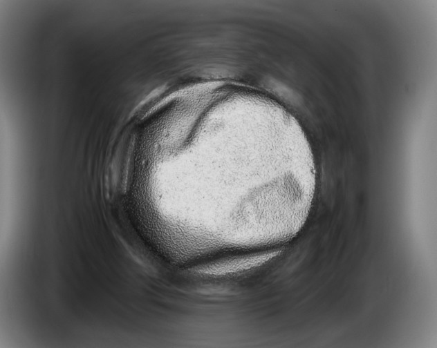 X0000086230202200704191807