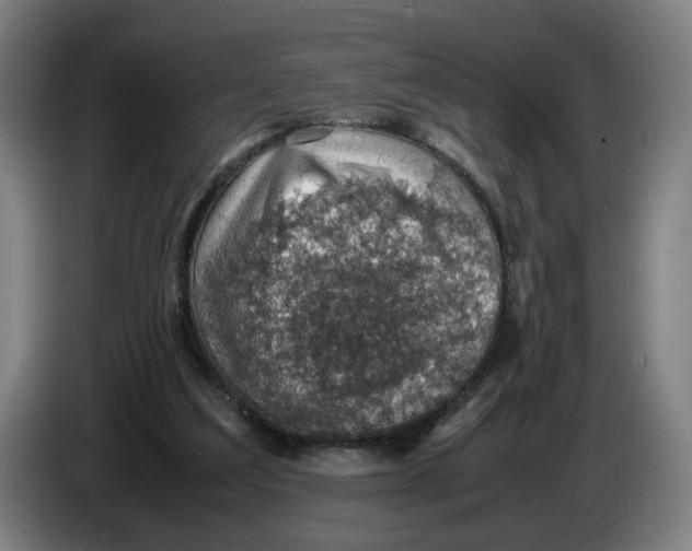 X0000086230203200704191807