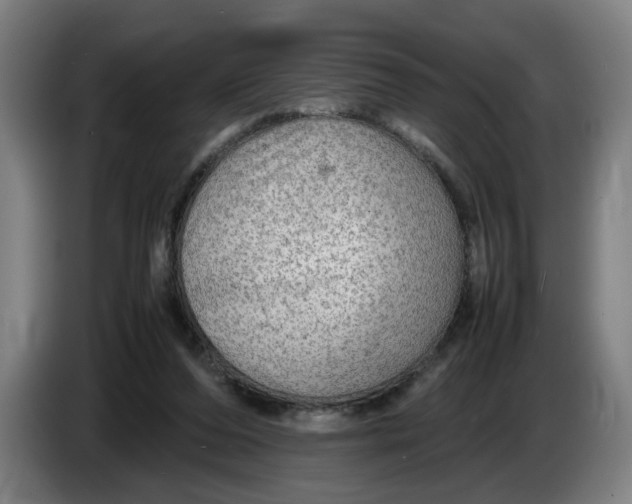 X0000086230208200704191807