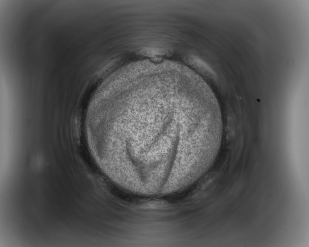 X0000086230210200704191807