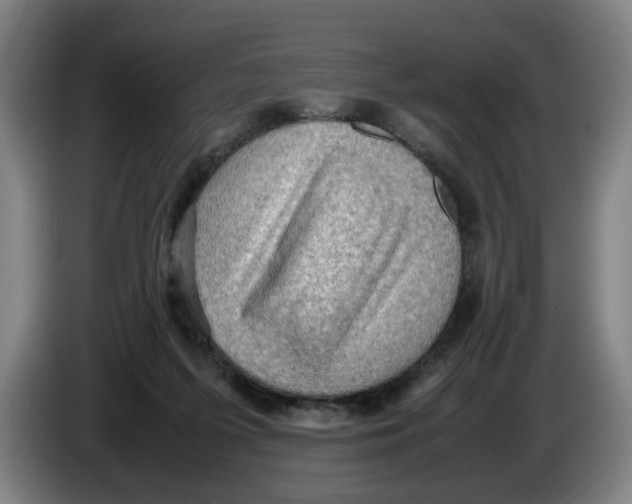 X0000086230215200704191807