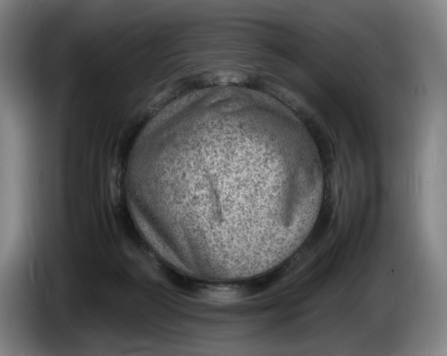 X0000086230218200704191807