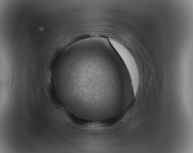 X0000086230219200704191807