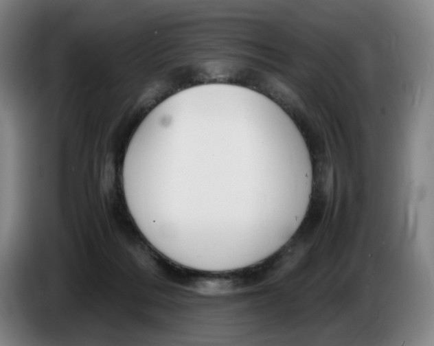 X0000086230220200704191807