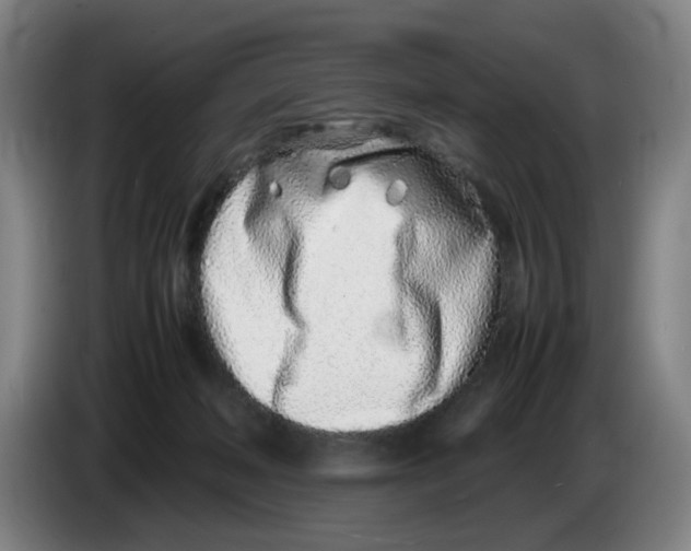 X0000086230222200704191806