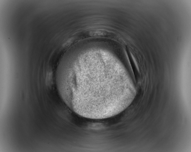 X0000086230224200704191806