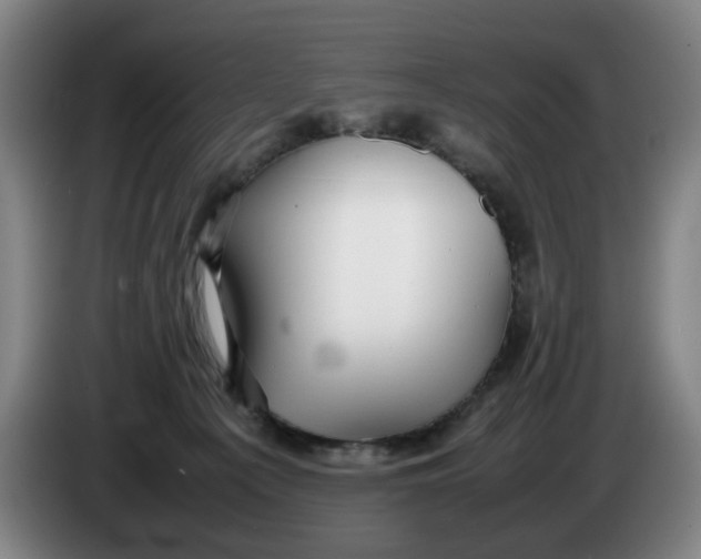 X0000086230225200704191806