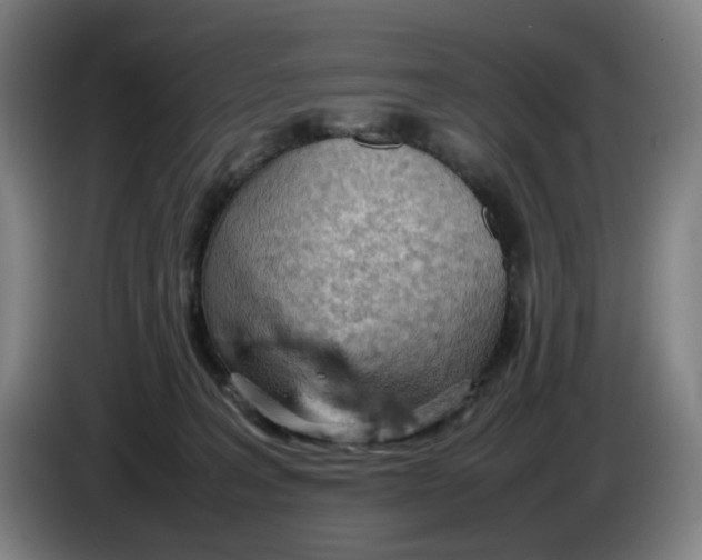 X0000086230227200704191806