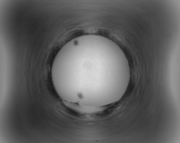 X0000086230229200704191806