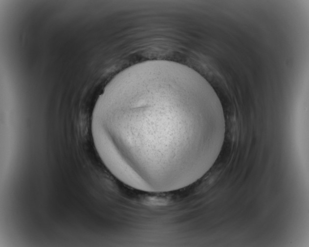 X0000086230232200704191806