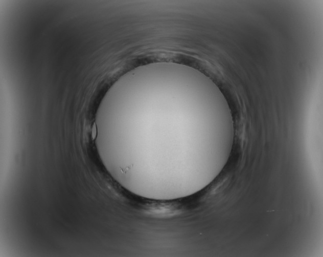 X0000086230235200704191806