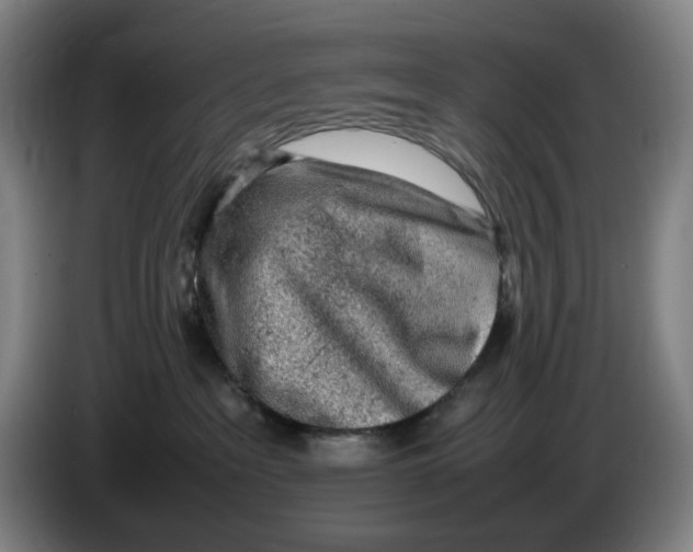 X0000086230237200704191806