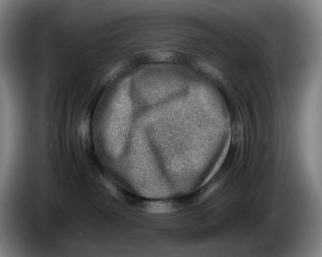 X0000086230238200704191806