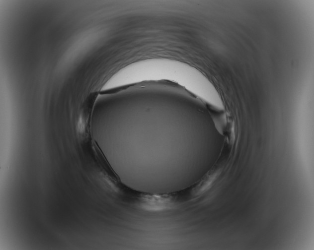 X0000086230239200704191806