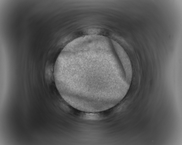 X0000086230240200704191806