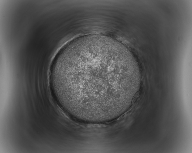 X0000086230242200704191806