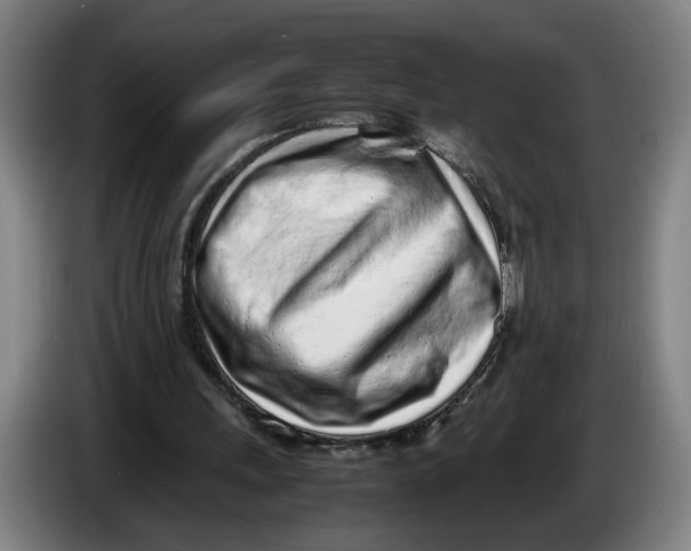 X0000086230243200704191806