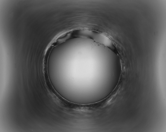 X0000086230244200704191806