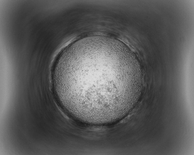 X0000086230245200704191806