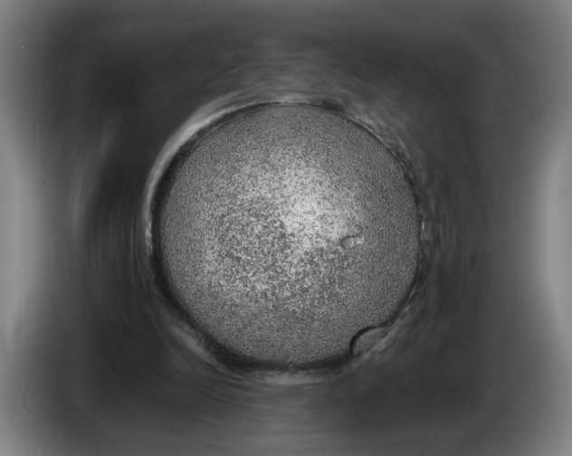 X0000086230246200704191806