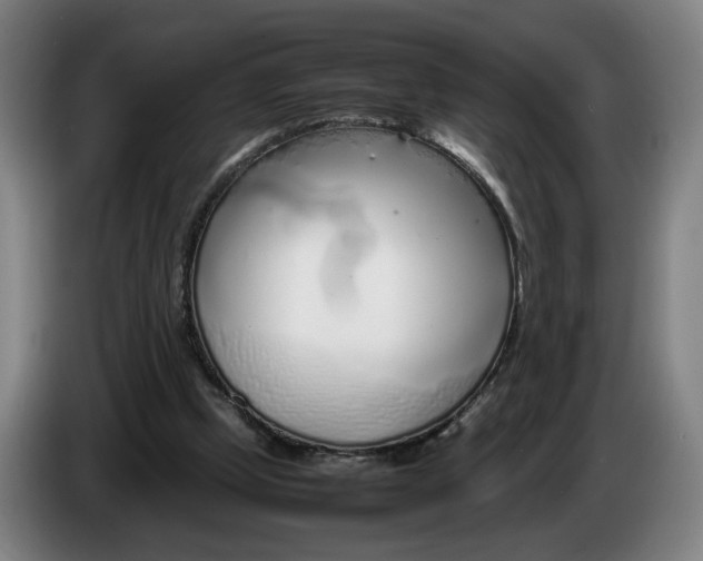 X0000086230249200704191806