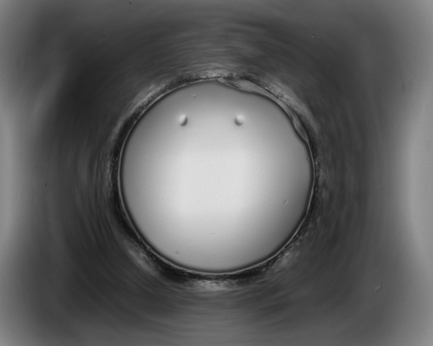 X0000086230250200704191806