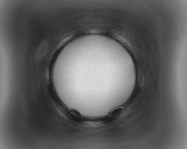 X0000086230251200704191806