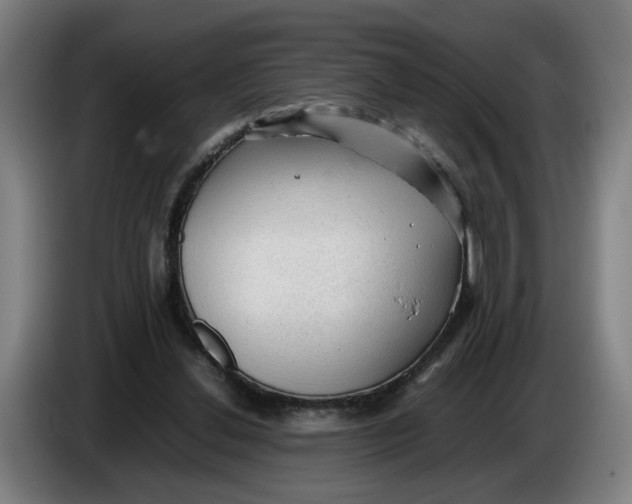 X0000086230252200704191806