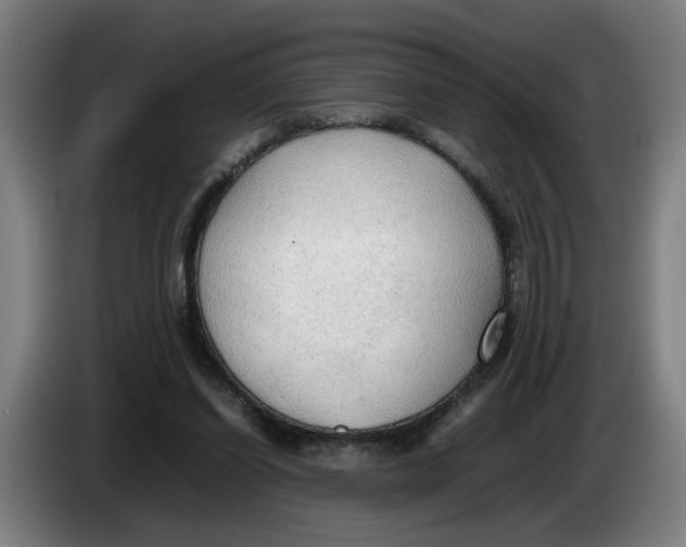 X0000086230254200704191806