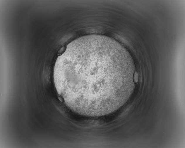 X0000086230255200704191806