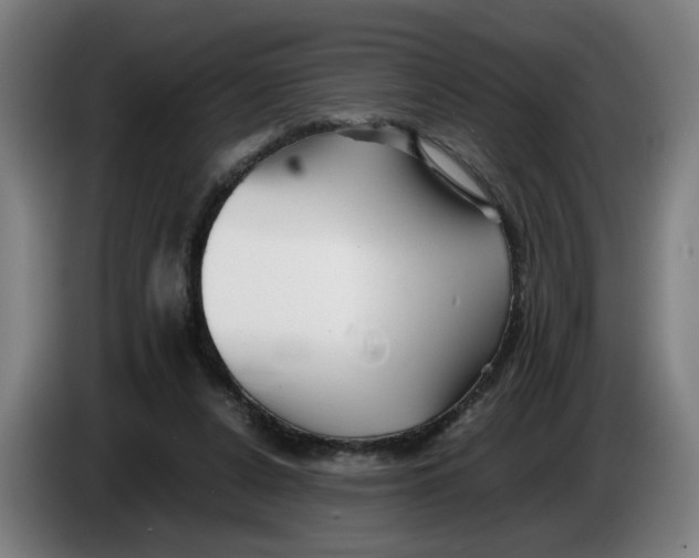 X0000086230256200704191806